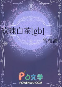 玫瑰白茶500ml