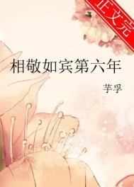 相敬如宾第六年小说讲的什么